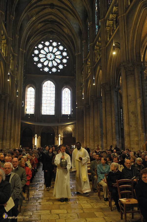 Nom de l'image : D30050319_1_(c)Norbert-JUNG — Description :